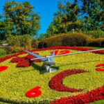 Geneva Old Town Private Tour with Lake Genova Cruise Tickets - The Cruise: A Floating View of Geneva