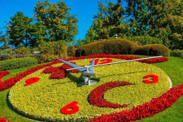 Geneva Old Town Private Tour with Lake Genova Cruise Tickets - The Cruise: A Floating View of Geneva