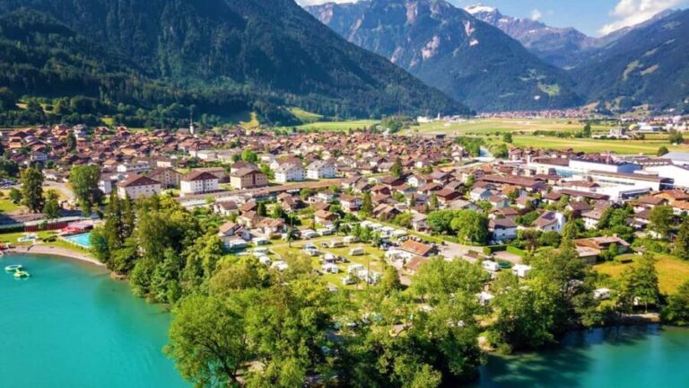 Geneva: Private Day Tour to Interlaken - Who Would Love This Tour?