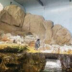 Genoa: Aquarium of Genoa Entry Ticket - Exploring the Exhibits: What You’ll See and Do