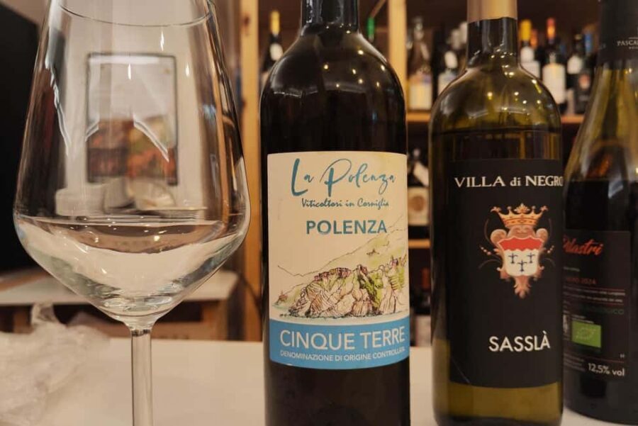 Genoa: Wine Tasting with Pesto, Focaccia Near Columbus House - A Detailed Breakdown of the Experience