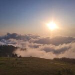 Georgia (Batumi): Private Customizable Tour with Guide - Analyzing the Value