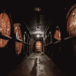 Gertwiller: Alsace Cellar Tour, Wine Tasting & Picnic Basket - The 180° Immersive Video — A Visual Highlight
