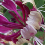 Get to know South Moravia with us. 6 hour tour. - Authentic Experiences and Practicalities