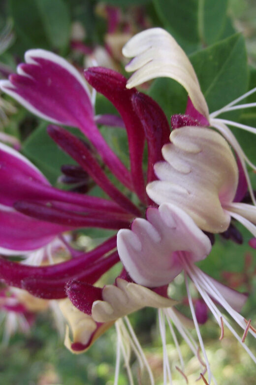 Get to know South Moravia with us. 6 hour tour. - Authentic Experiences and Practicalities