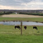 Gettysburg: Horse-Drawn Carriage Tour Countryside & Orchards - What the Tour Covers: A Step-by-Step Breakdown