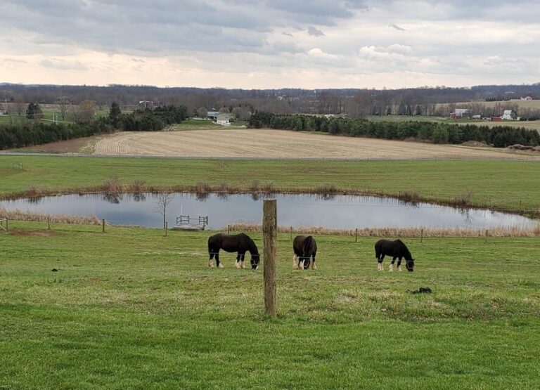 Gettysburg: Horse-Drawn Carriage Tour Countryside & Orchards - What the Tour Covers: A Step-by-Step Breakdown