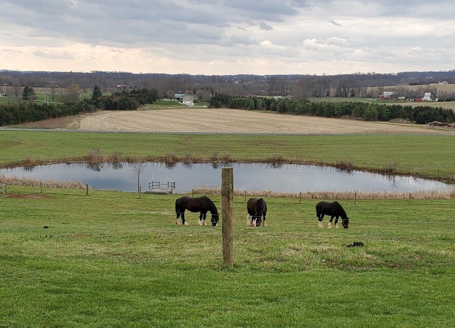Gettysburg: Horse-Drawn Carriage Tour Countryside & Orchards - What the Tour Covers: A Step-by-Step Breakdown