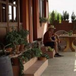 Gevgelija: Jostela Winery Wine Tasting Tour - Exploring the Jostela Winery Experience