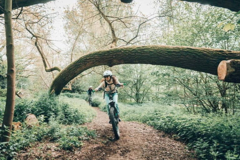 Ghent: Green Snake E-Step Tour with Local Guide - The Itinerary in Detail