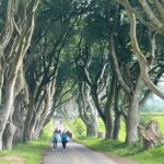 Giants Causeway 4 Hour Private Tour - Belfast City Tour and Cultural Insights