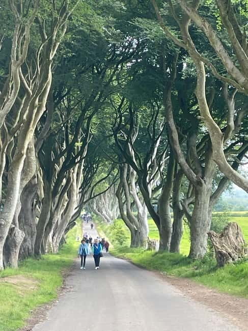 Giants Causeway 4 Hour Private Tour - Belfast City Tour and Cultural Insights