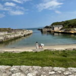 GIANTS CAUSEWAY & BLACK TAXI TOUR - The Practicalities and Value