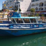 Gibraltar: Dolphin Watching Boat Tour V.I.P - The Value of Small Groups and Expert Guides