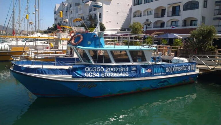 Gibraltar: Dolphin Watching Boat Tour V.I.P - The Value of Small Groups and Expert Guides  