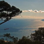 Gibraltar: Guided Tour by Bus Including Tickets - The Experience: What You Can Expect