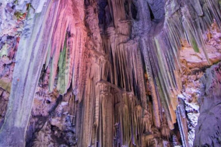 Gibraltar Shore Excursion: The Original Rock & Caves Tour - What We Like About the Tour