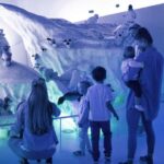 Giengen: Steiff Museum, learn about the fascinating world of Steiff - Who Should Consider This Tour?