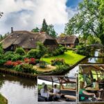 Giethoorn: Sightseeing Boat Tour - Value for Money and Practicality