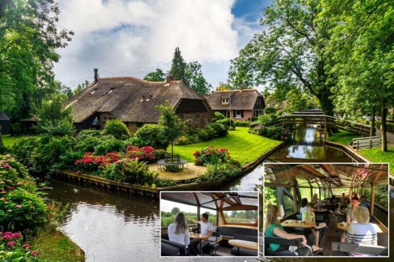 Giethoorn: Sightseeing Boat Tour - Value for Money and Practicality  