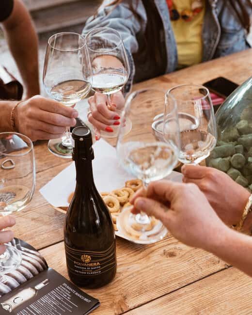 Gioia del Colle: Light Lunch and Wine Tasting in the Cellar - An In-Depth Look at the Experience