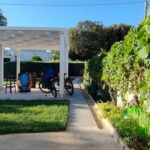 Gioia del Colle: Winery with Primitivo Tasting - In-Depth Look at the Tour Experience