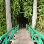 Giverny Village Walking Tour & Skip-the-Line to Monet Garden - Discovering Giverny with a Local Guide