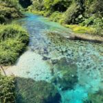 Gjirokaster & Blue Eye: Day Tour from Vlore - Price and Value