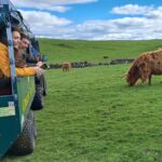 Glasgow: Highland Cow Trailer Tour with home baking - The Itinerary: What to Expect from Start to Finish