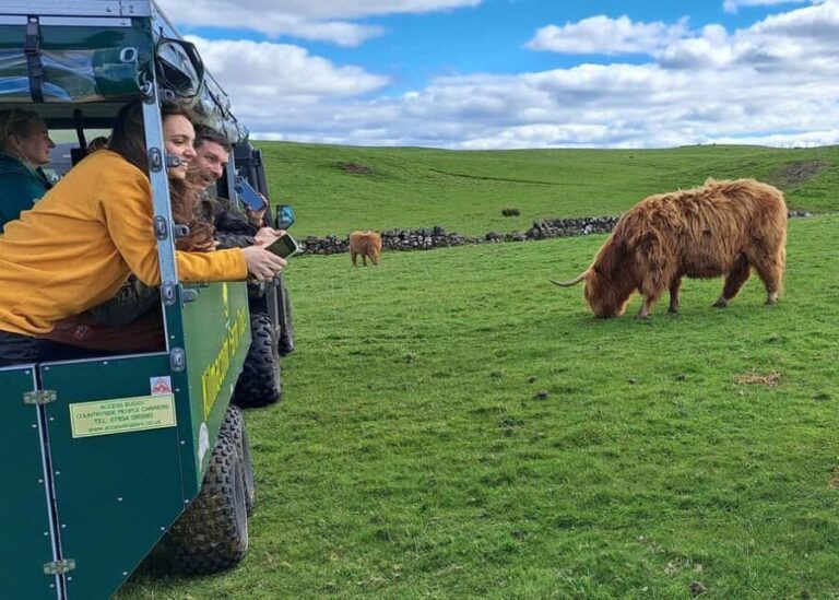 Glasgow: Highland Cow Trailer Tour with home baking - The Itinerary: What to Expect from Start to Finish