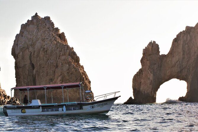 Glass Bottom Boat Sightseeing Tour in Cabo San Lucas - Why This Tour Offers Good Value
