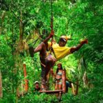 Go City Cancun Explorer Pass: Save up to 50% on Attractions - Who Should Consider the Cancun Explorer Pass?