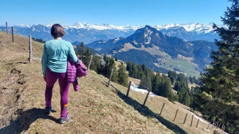 Goldau: Mount Rigi Guided Walk with BBQ Lunch - Details That Matter