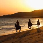 Golden Beach Sunrise: Horse Riding - Practical Aspects of the Tour