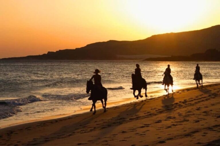 Golden Beach Sunrise: Horse Riding - Practical Aspects of the Tour