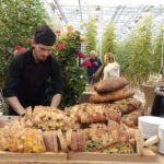 Golden Circle with Tomato Farm and Secret Lagoon(Optional) - The Value of the Experience