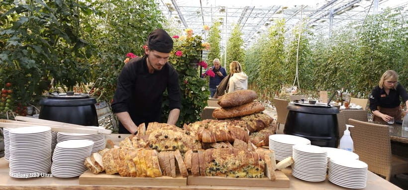 Golden Circle with Tomato Farm and Secret Lagoon(Optional) - The Value of the Experience