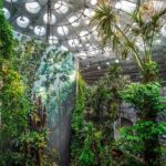 Golden Gate Park Tour With California Academy of Sciences Ticket - Why This Tour Provides Great Value