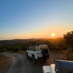 Golden Hour Safari in the Algarve - Final Thoughts on Value and Experience
