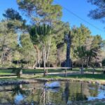 Golem/Durrës: Karavasta Lagoon Tour - Exploring the Itinerary in Detail