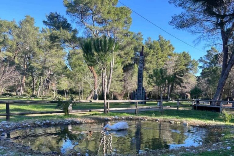 Golem/Durrës: Karavasta Lagoon Tour - Exploring the Itinerary in Detail