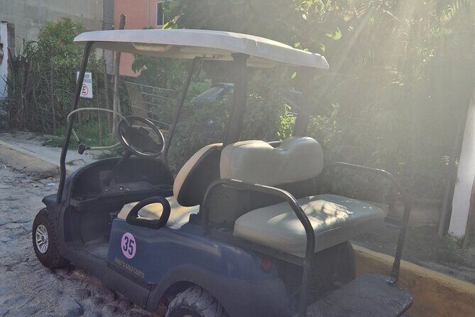 Golf Cart Rental in Sayulita - Why Rent a Golf Cart in Sayulita?