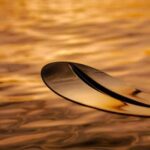 Golfo Aranci: traditional or transparent kayaks, dolphins, and aperitifs - An authentic way to see Golfo Aranci