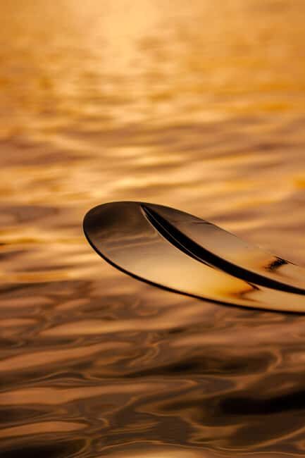 Golfo Aranci: traditional or transparent kayaks, dolphins, and aperitifs - An authentic way to see Golfo Aranci