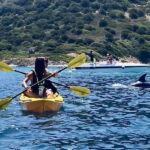 Golfo Aranci:Small group, german guided Kayak tour&Dolphins - The Itinerary: What Makes Each Stop Special