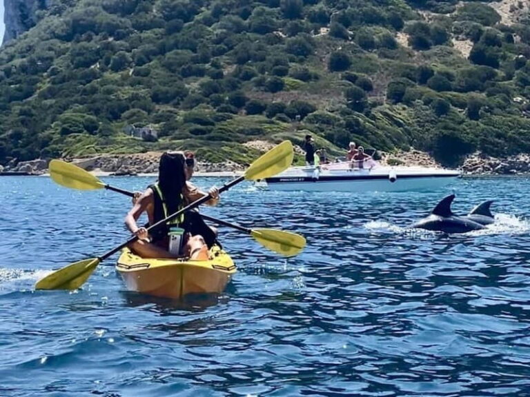 Golfo Aranci:Small group, german guided Kayak tour&Dolphins - The Itinerary: What Makes Each Stop Special