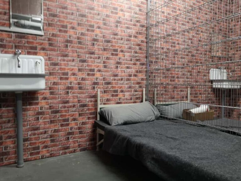 Göppingen: Live Escape Room - Who Should Consider This Experience?