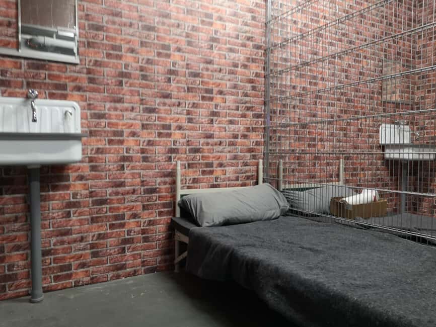 Göppingen: Live Escape Room - Who Should Consider This Experience?