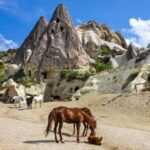 Göreme: Private Camel Tour, Pottery, Horse Ride w/Lunch - What’s Included and What to Keep in Mind