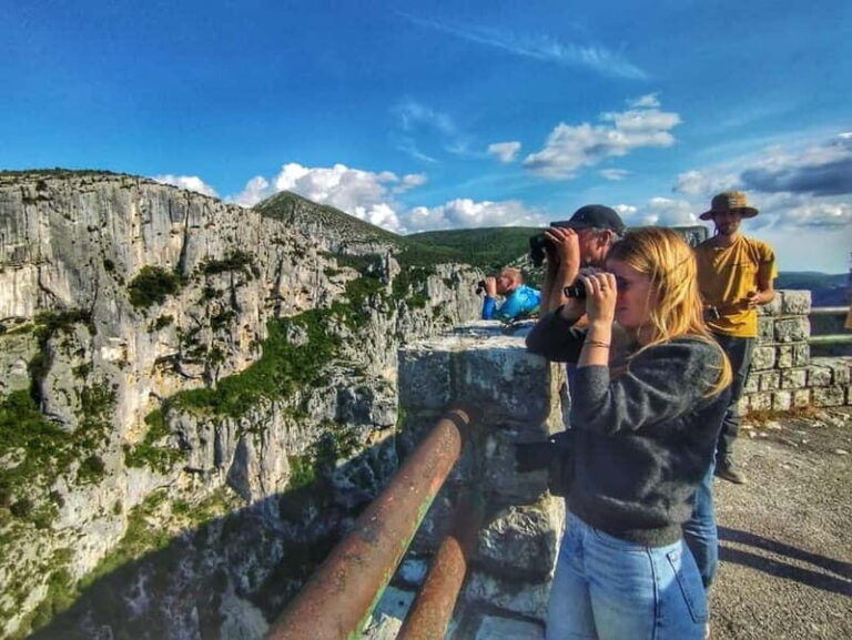 Gorges du Verdon: Watching vultures - Who Would Love This Tour?